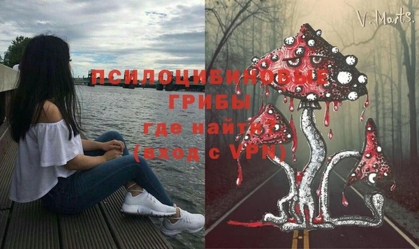 СК Аркадак