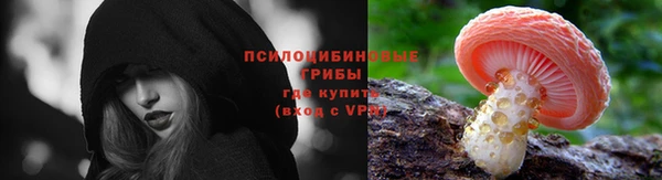 СК Аркадак
