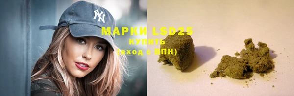 СК Аркадак